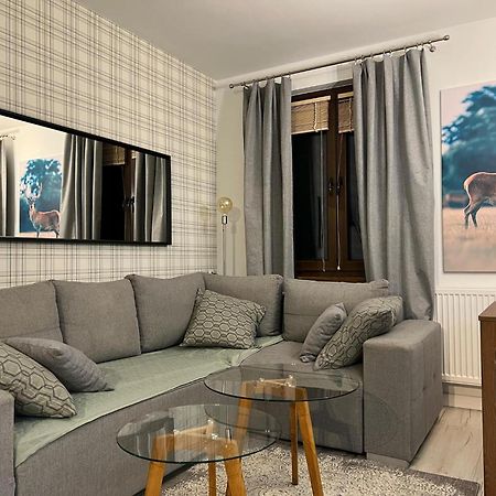 Apartament Dziki Rogacz Szczawnica Exterior foto